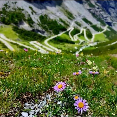 Hébergement de vacances La Terrazza Sul Vallecetta *